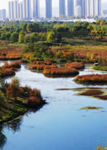 以南北山为基础的环城国家生态公园-青海西宁湟水国家湿地公园（海湖湿地），大面积的水域和丰富多样的动植物，为西宁市发挥“城市之肺”和“城市之肾”的功能。_r1_c2.jpg